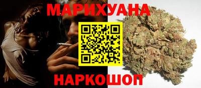 сатива Аргун