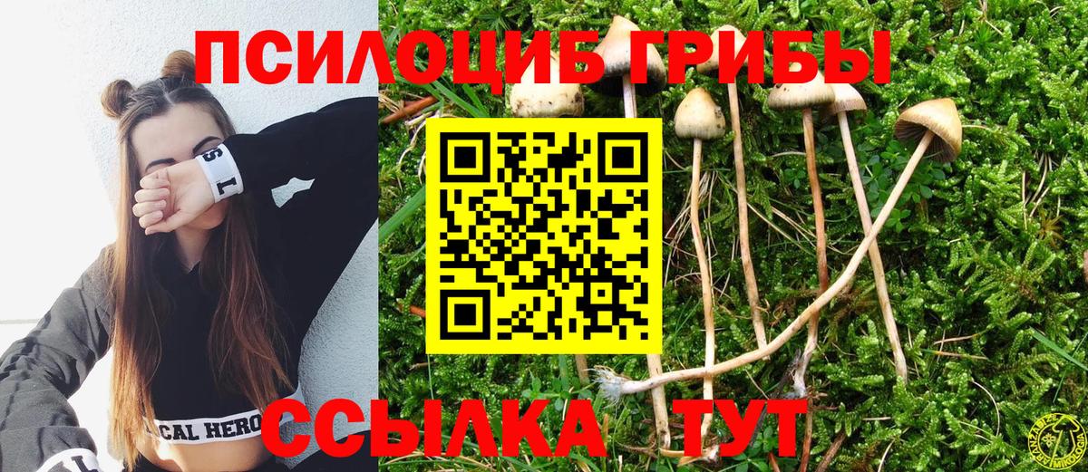 Псилоцибиновые грибы мухоморы  Вход с VPN  Барнаул 